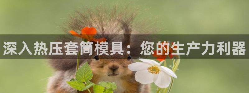 易倍科华生物科技有限公司