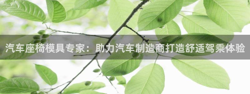 EMC易倍让身份验证