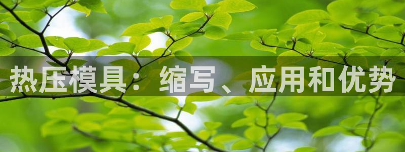 emc易倍平台：热压模具：缩写、应用和优势