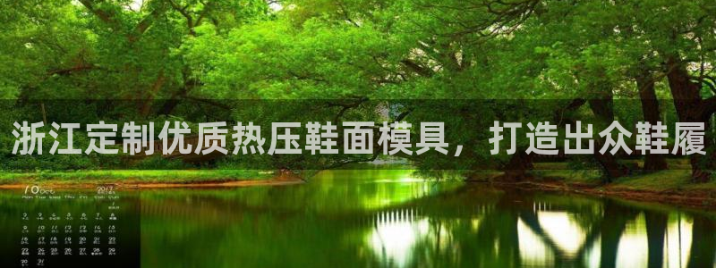 易倍网络技术有限公司：浙江定制优质热压鞋面模具，打造出众