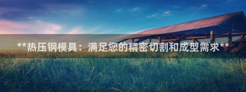 易倍单词app：**热压钢模具：满足您的精密切割和成型需