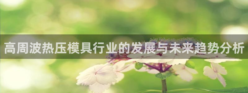 易倍纤多少钱：高周波热压模具行业的发展与未来趋势分析