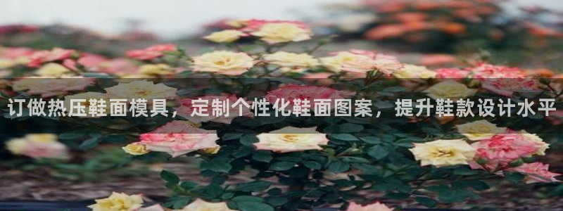 易倍app网站：订做热压鞋面模具，定制个性化鞋面图案，提