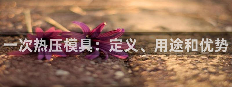 易倍申多少钱