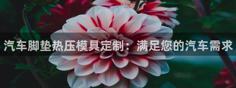 易倍申竞品：汽车脚垫热压模具定制：满足您的汽车需求
