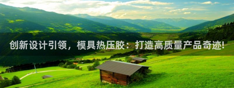易倍纤代餐粉能减肥吗：创新设计引领，模具热压胶：打造高质