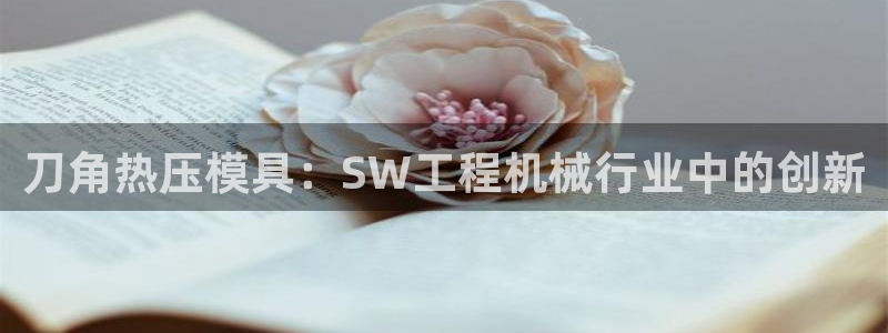易倍单词app