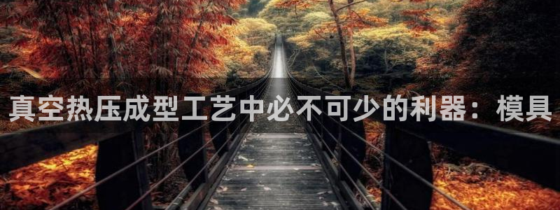 emc服务器是干啥的：真空热压成型工艺中必不可少的利器：
