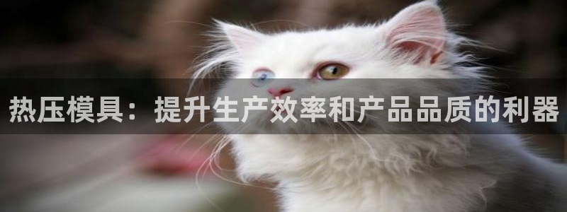 易倍思教育