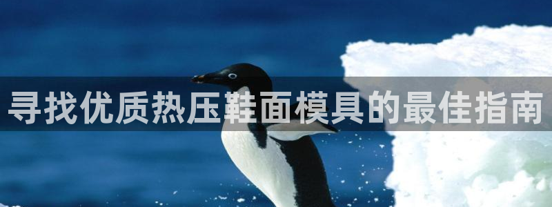 易倍申安理申区别：寻找优质热压鞋面模具的最佳指南