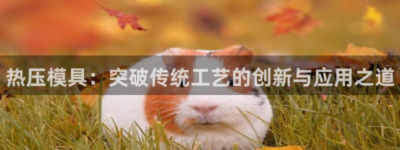 emc易倍出空款：热压模具：突破传统工艺的创新与应用之道