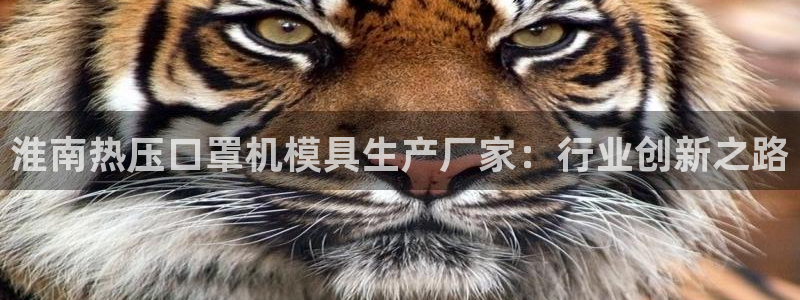 易倍纤代餐奶昔减肥效果怎么样：淮南热压口罩机模具生产厂家