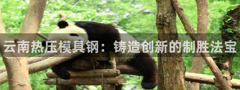 易倍申安理申区别