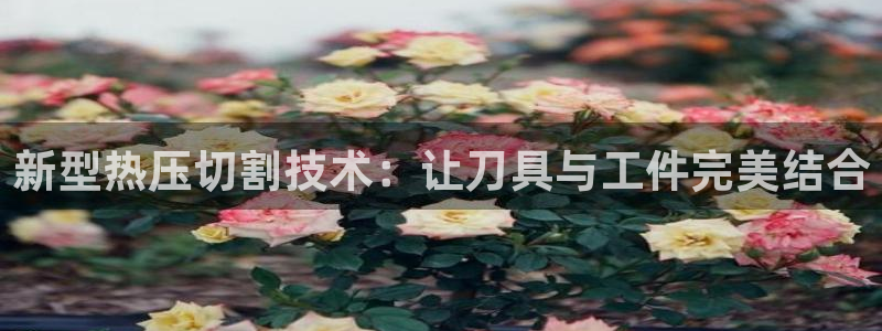 emc易倍最新链接：新型热压切割技术：让刀具与工件完美结