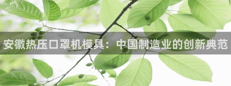 易倍纤谷物粉效果好吗：安徽热压口罩机模具：中国制造业的创