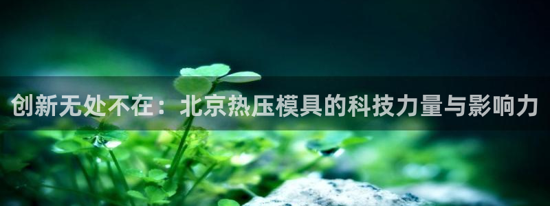 易倍申有用吗：创新无处不在：北京热压模具的科技力量与影响