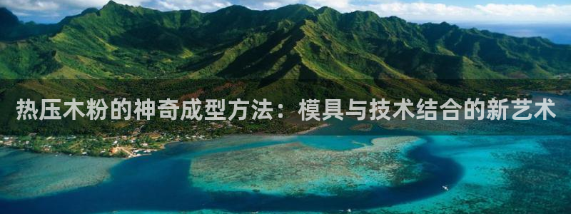 易倍思教育：热压木粉的神奇成型方法：模具与技术结合的新艺