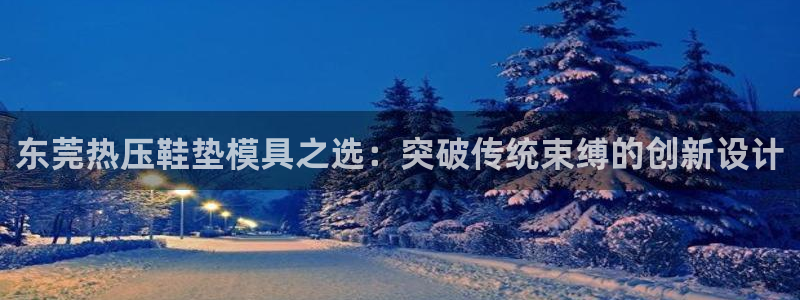 易倍申片：东莞热压鞋垫模具之选：突破传统束缚的创新设计
