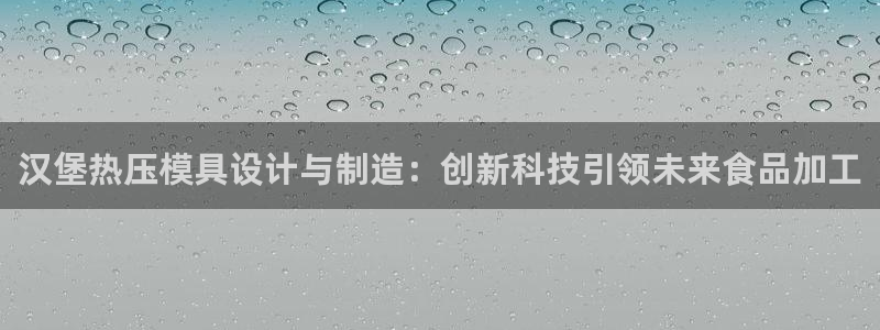 易倍纤代餐奶昔怎么样：汉堡热压模具设计与制造：创新科技引