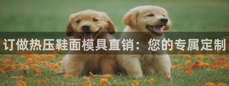 emc全站app下载：订做热压鞋面模具直销：您的专属定制