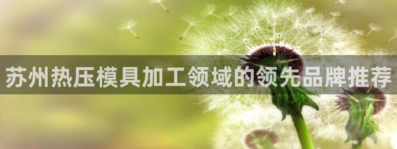 易倍单词平台