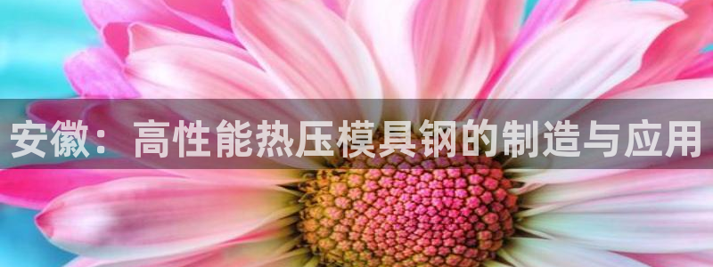 emc下载：安徽：高性能热压模具钢的制造与应用