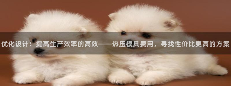 易倍申的副作用：优化设计：提高生产效率的高效——热压模具