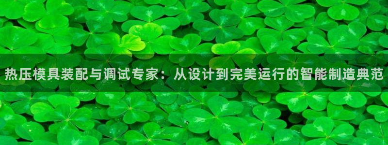 emc服务器是干啥的：热压模具装配与调试专家：从设计到完