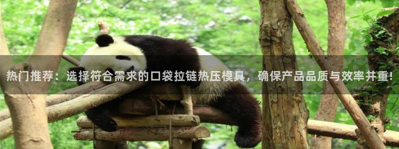 emc易倍的服务优势：热门推荐：选择符合需求的口袋拉链热