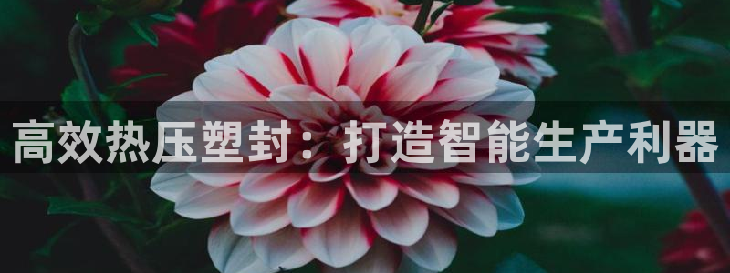 emc倍频干扰怎么解决：高效热压塑封：打造智能生产利器