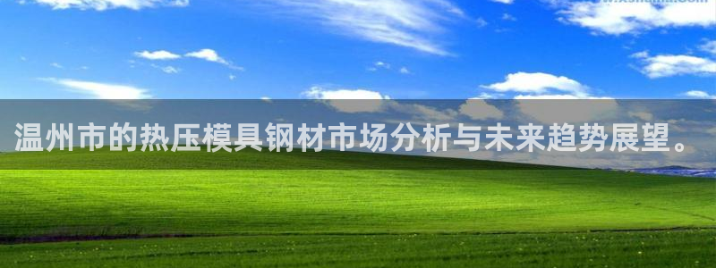 易倍电竞：温州市的热压模具钢材市场分析与未来趋势展望。