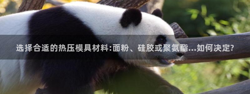emc易倍出空款