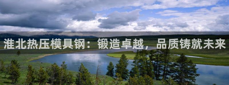 易倍网络技术有限公司：淮北热压模具钢：锻造卓越，品质铸就