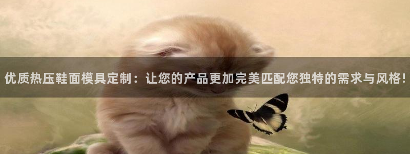 emc服务器是什么：优质热压鞋面模具定制：让您的产品更加