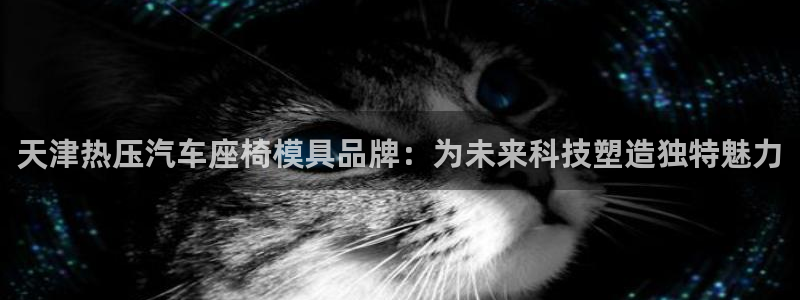 易倍易倍单词官方网站：天津热压汽车座椅模具品牌：为未来科