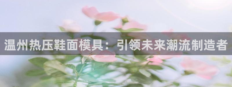 emc易倍全站官网：温州热压鞋面模具：引领未来潮流制造者