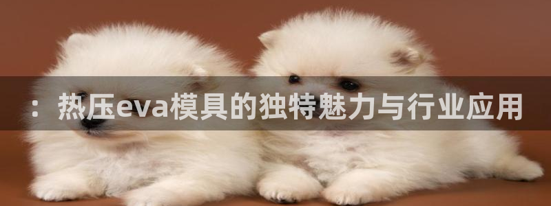 武汉易倍捷科技有限公司：：热压eva模具的独特魅力与行业