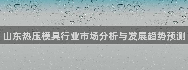 易倍纤代餐奶昔怎么样：山东热压模具行业市场分析与发展趋势