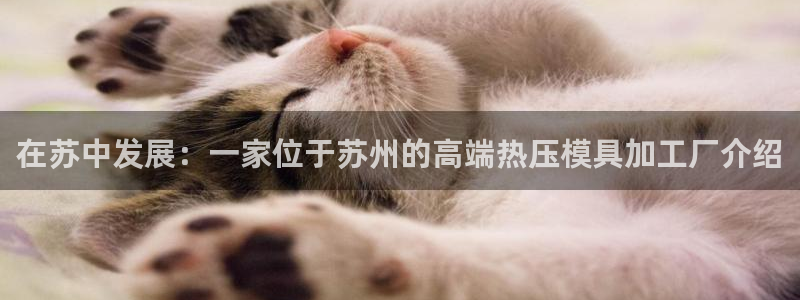 易倍易趣网