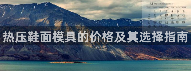 易倍纤代餐奶昔怎么样：热压鞋面模具的价格及其选择指南