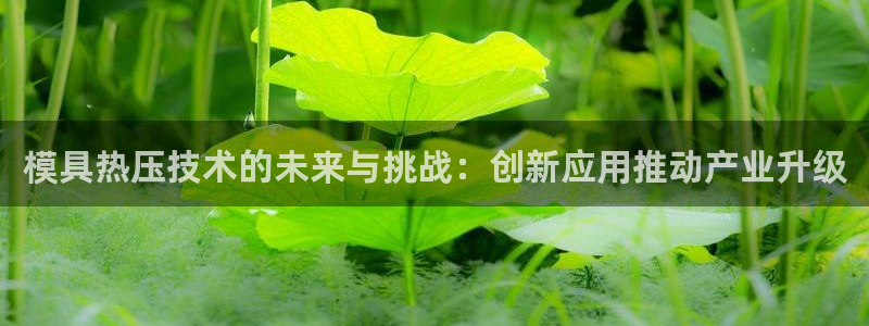易倍纤奶昔减肥效果怎么样：模具热压技术的未来与挑战：创新