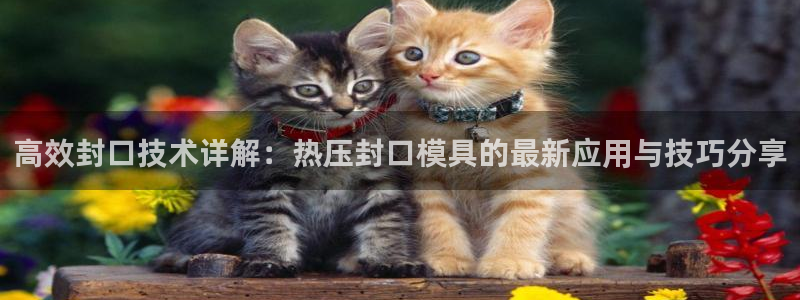 易倍纤代餐奶昔怎么样：高效封口技术详解：热压封口模具的最
