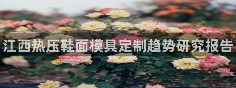 EMC倍频原理：江西热压鞋面模具定制趋势研究报告