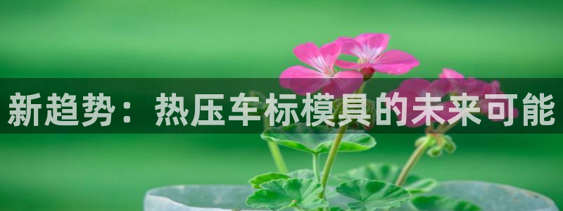 易倍网络技术有限公司招聘：新趋势：热压车标模具的未来可能