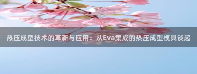 易倍EMC网址：热压成型技术的革新与应用：从Eva集成的