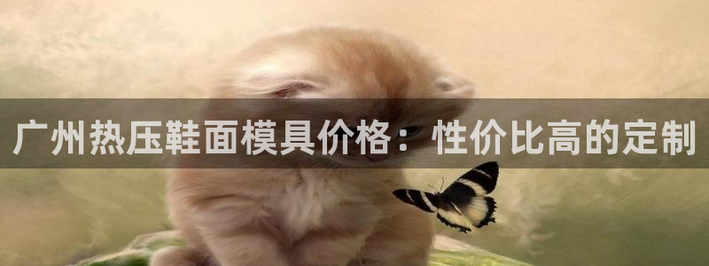 易倍全站：广州热压鞋面模具价格：性价比高的定制