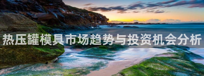 易倍申多少钱：热压罐模具市场趋势与投资机会分析