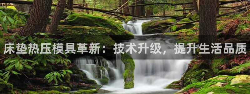 emc易倍官网app：床垫热压模具革新：技术升级，提升生