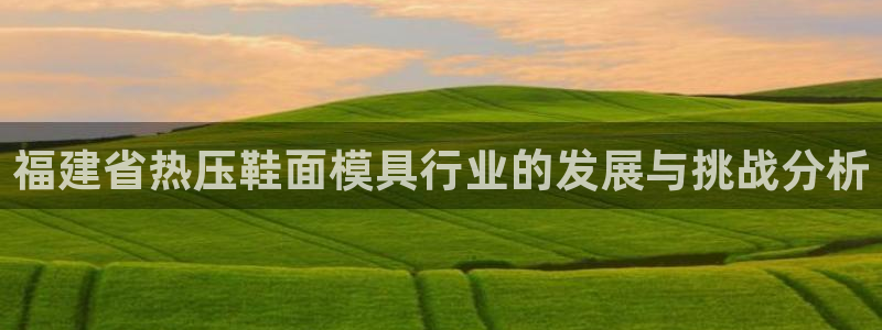 易倍电竞,有球必应：福建省热压鞋面模具行业的发展与挑战分