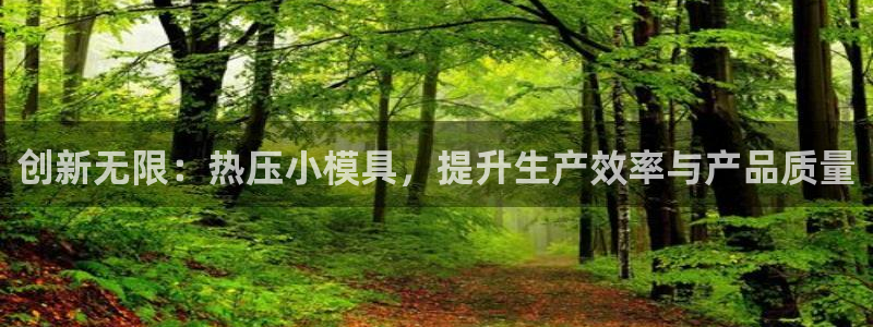 易倍纤多少钱：创新无限：热压小模具，提升生产效率与产品质